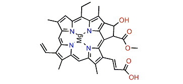 Chlorophyll c